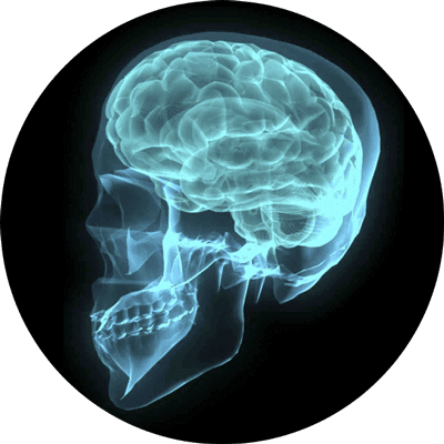 Drug addicted brain