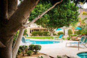 Michael's House Pool
