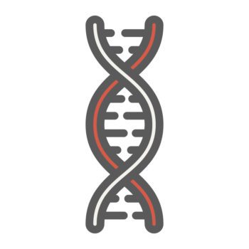 illustration of DNA