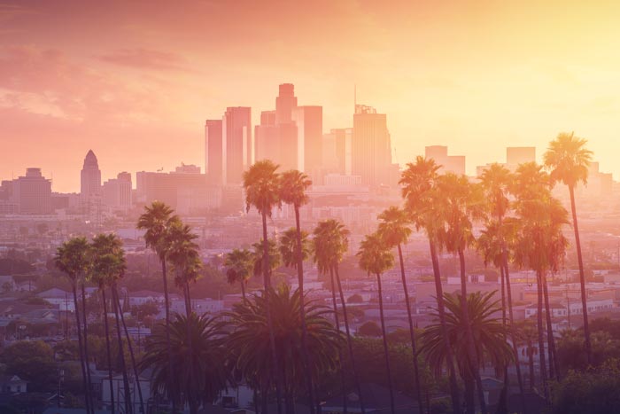 California sunset with palm trees and city in background