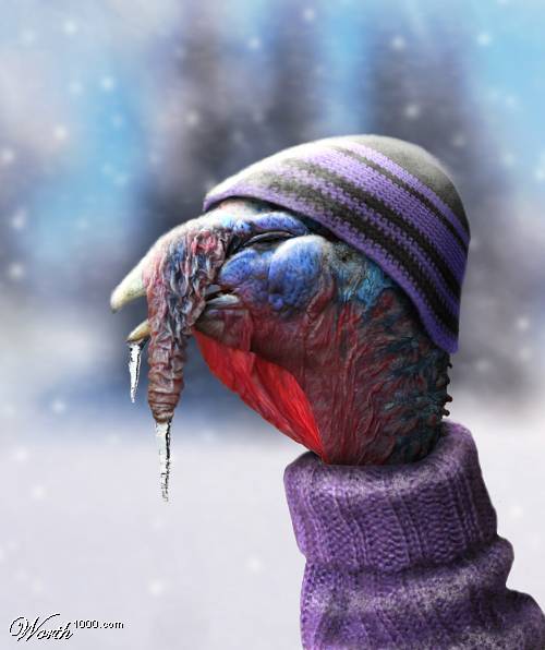 coldturkey