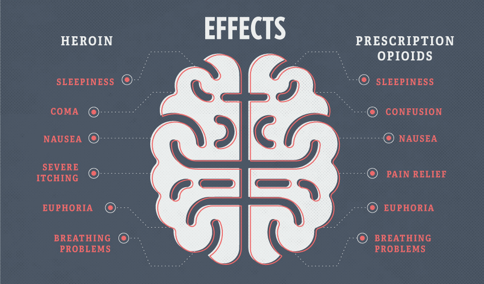 effects-of-prescription-opioids-and-heroin-addiction-brain-effects