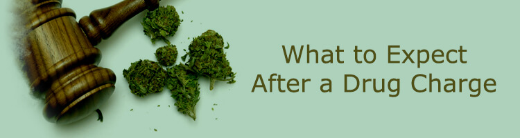 Drug Charge Header