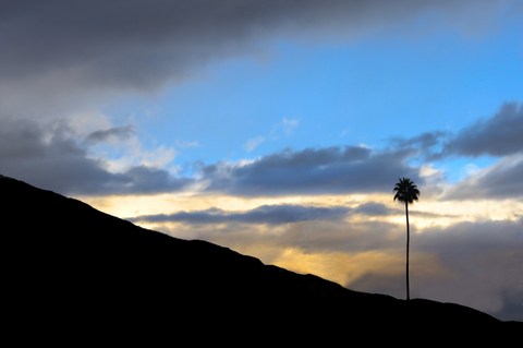 Benefits of a Palm Springs Rehab